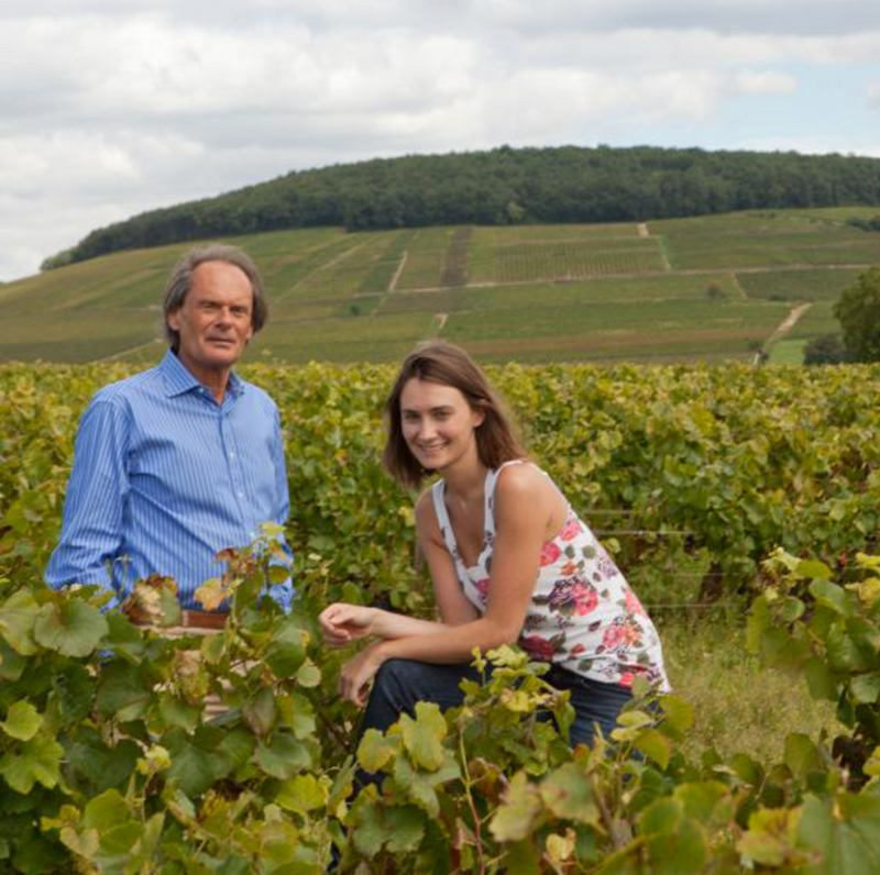 Domaine Antonin Guyon