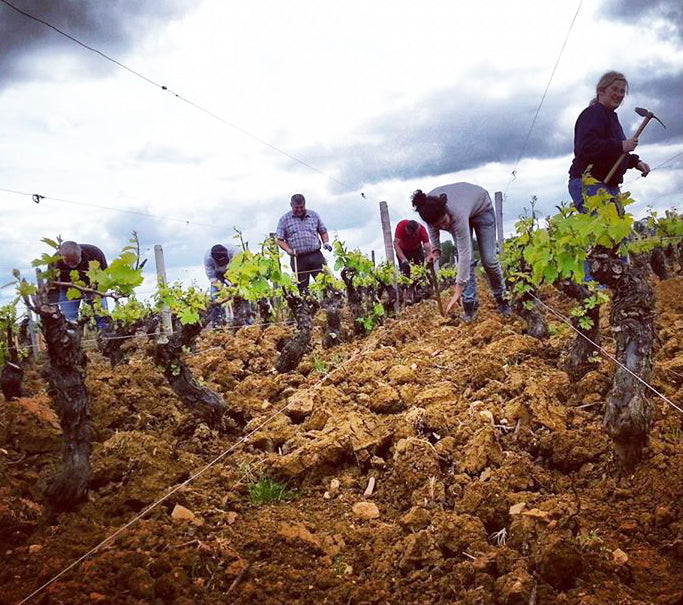 Domaine Génot-Boulanger