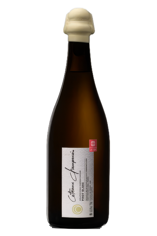 Coteaux Champenois Blanc