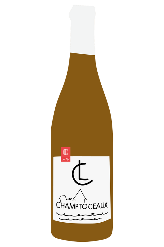 Muscadet Coteaux de la Loire, Champtoceaux