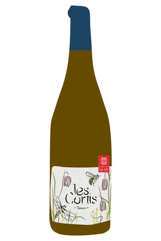 VDF, Teraxe